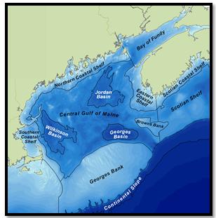 The Gulf of Maine